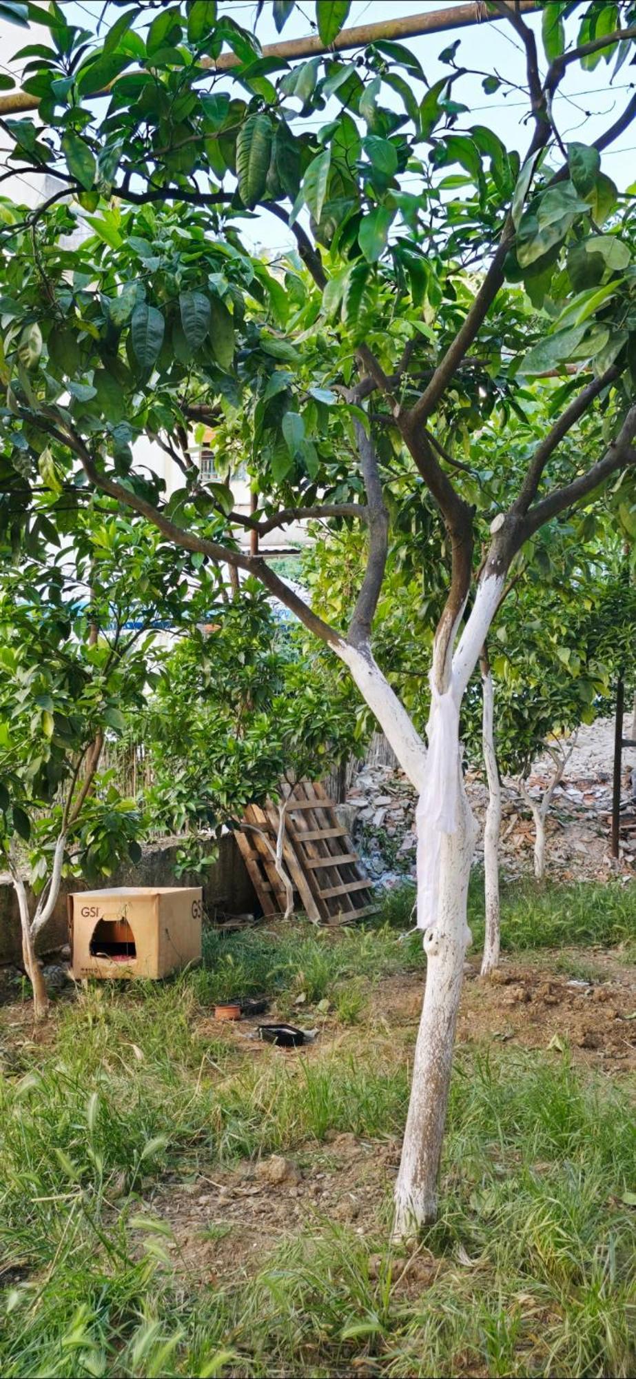 Gjestgiverier Mecani Gjirokastër